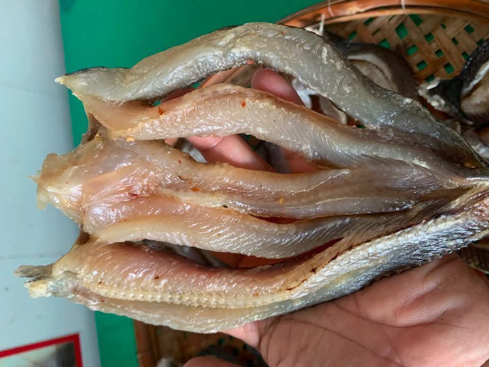 Sun-Dried Snakehead Fish
