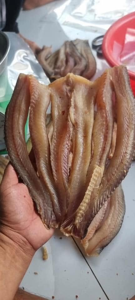 Sun-Dried Snakehead Fish