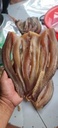 Sun-Dried Snakehead Fish