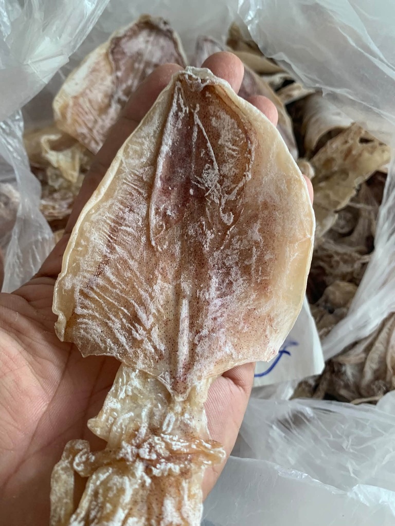 Khô mực